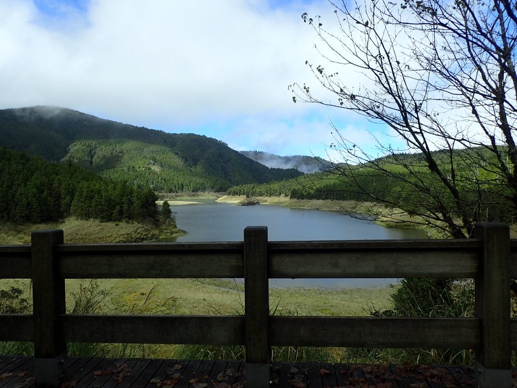 PB265384.JPG - 太平山  翠峰湖環山步道  02