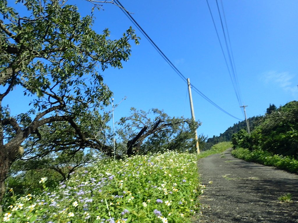 PA064344.JPG - 大湖  馬那邦山  (01)