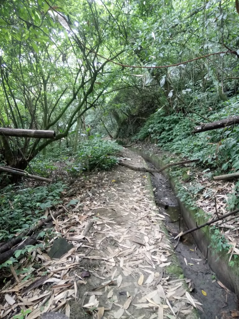DSC_0573.JPG - 鹿谷  長源圳古道