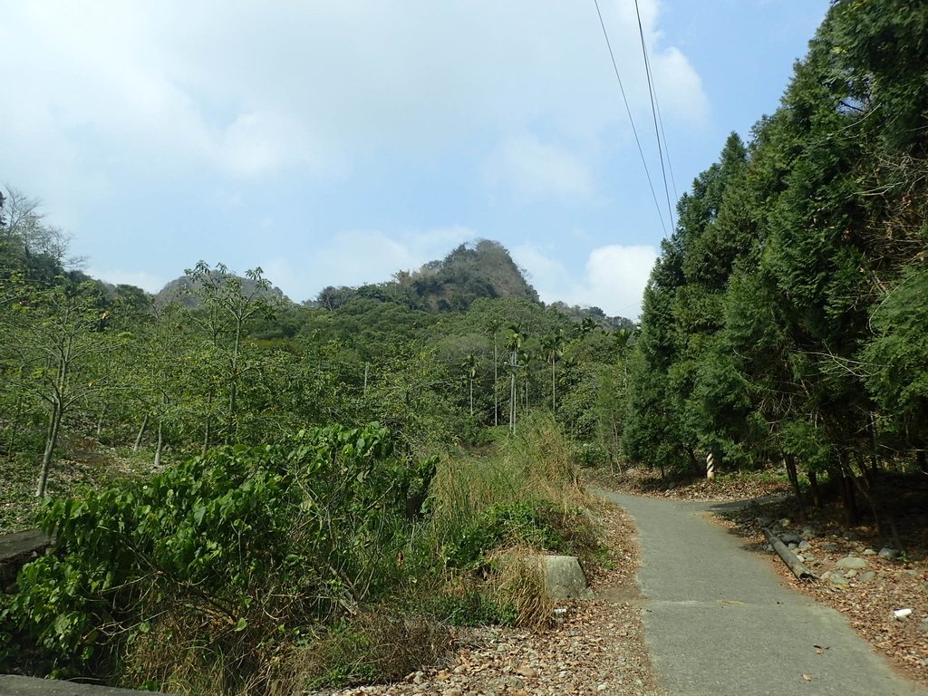 P3016117.JPG - 草屯平林  九九峰森林步道