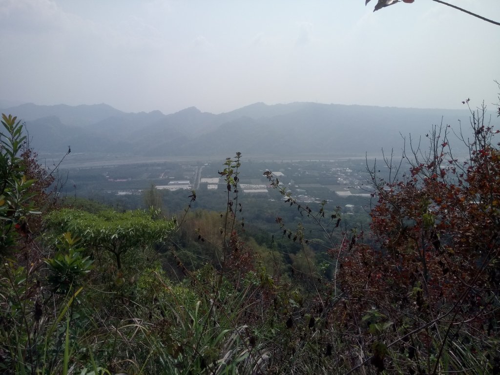 DSC_7320.JPG - 草屯平林  九九峰森林步道