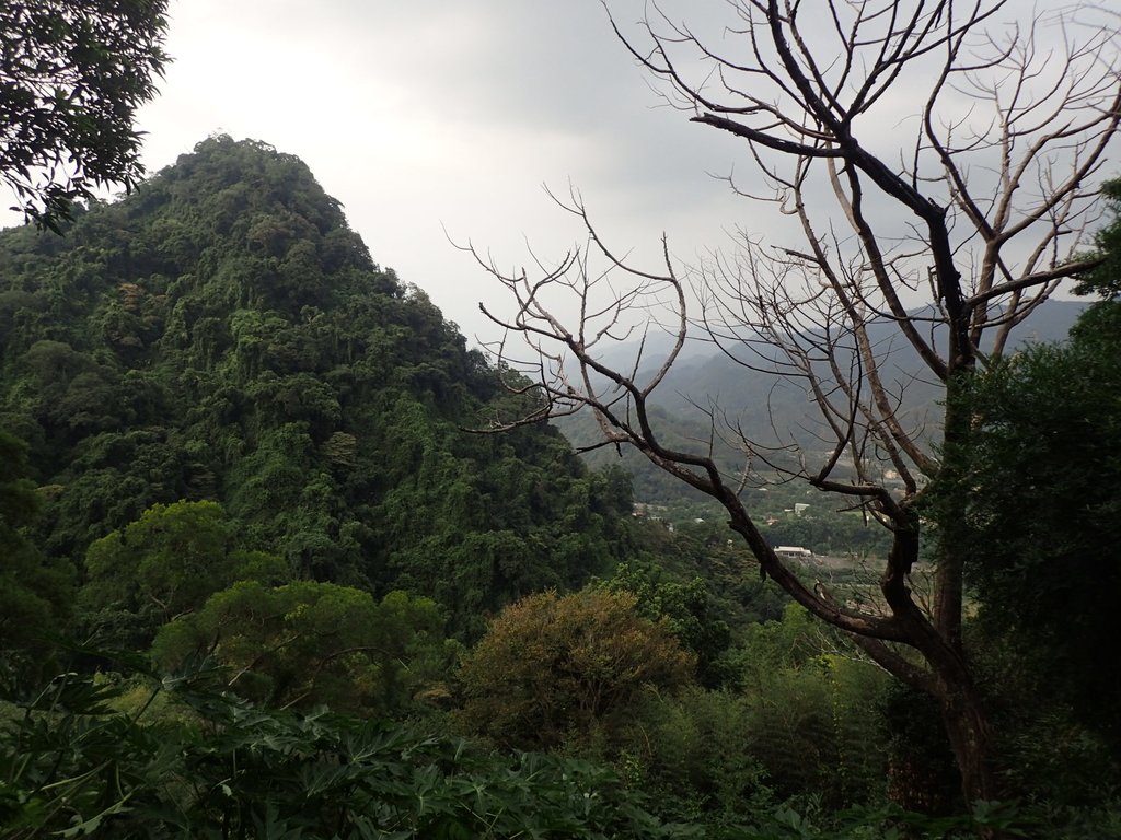 PA064683.JPG - 大湖  法雲禪寺  開拓紀念碑