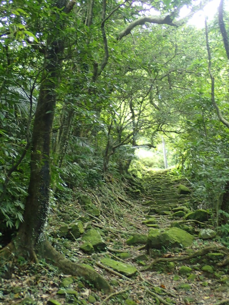 P7062179.JPG - 猴硐  小粗坑古道