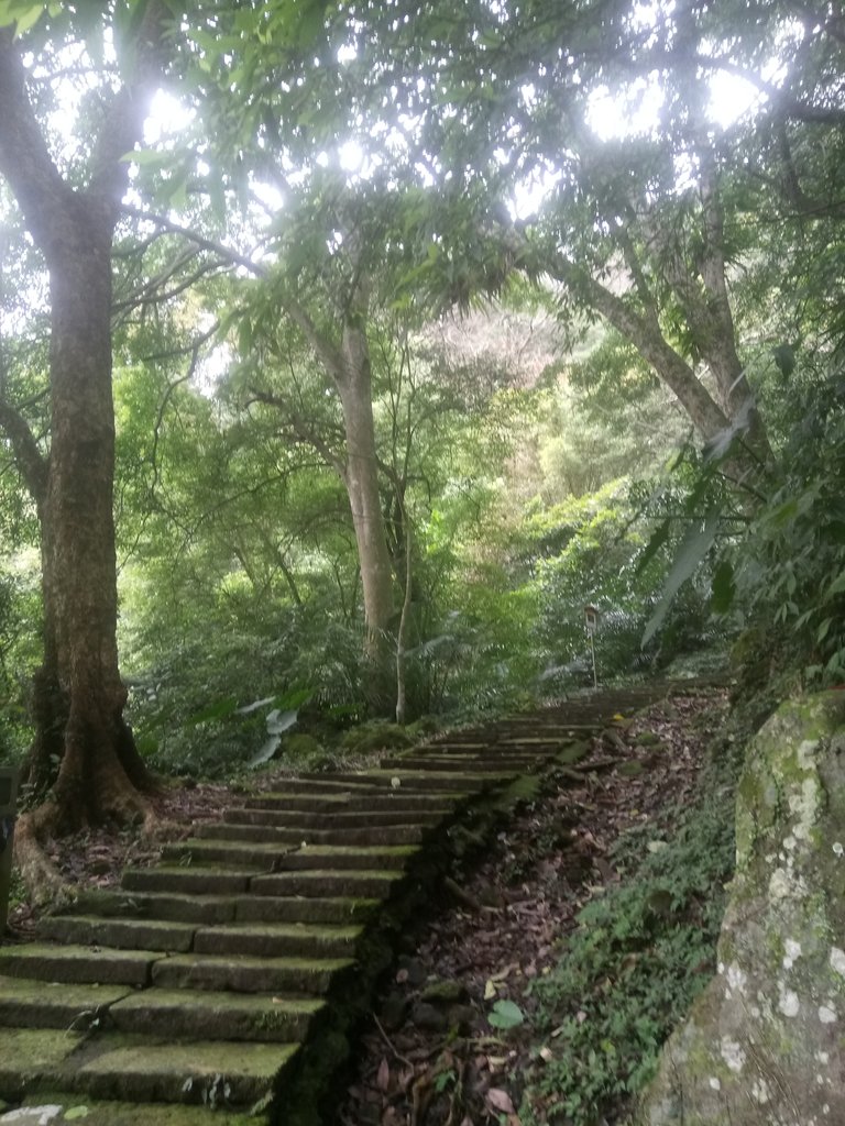 DSC_2798.JPG - 獅頭山  獅山古道  (02)