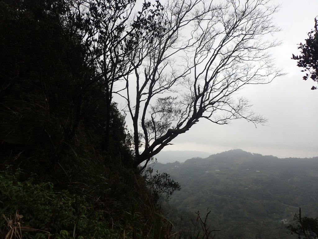 P1294571.JPG - 大湖  關刀山步道  (聖關段)