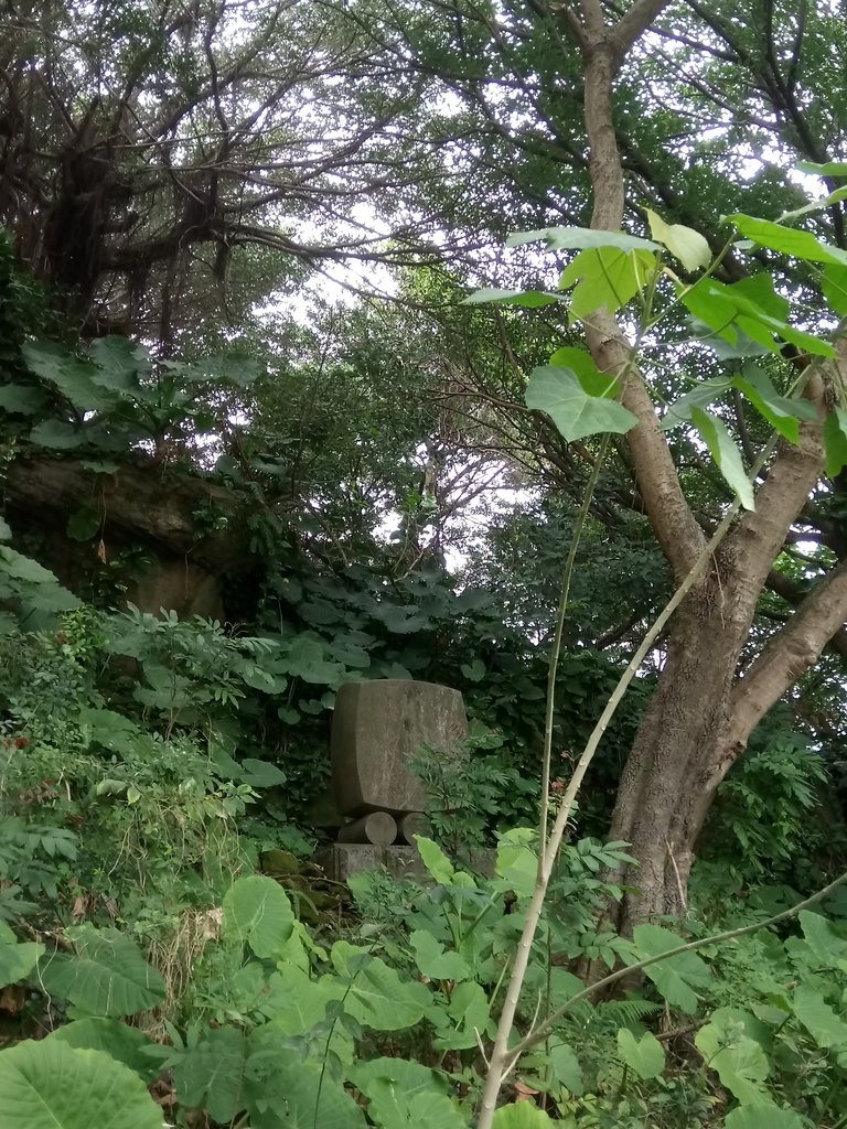 DSC_9166.JPG - 臨濟護國禪寺  日治遺跡巡禮