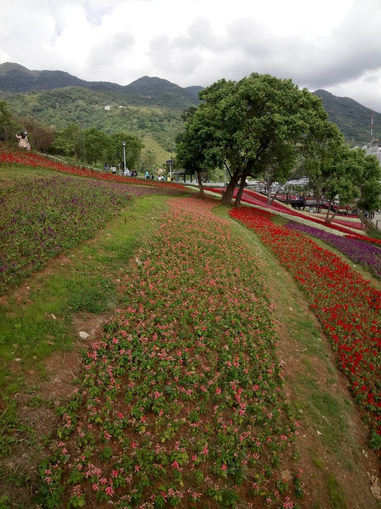 DSC_5450.JPG - 北投社  三層崎公園