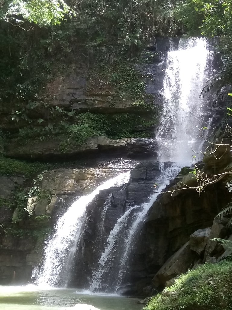 DSC_2667.JPG - 魚池  澀水森林步道  水上瀑布