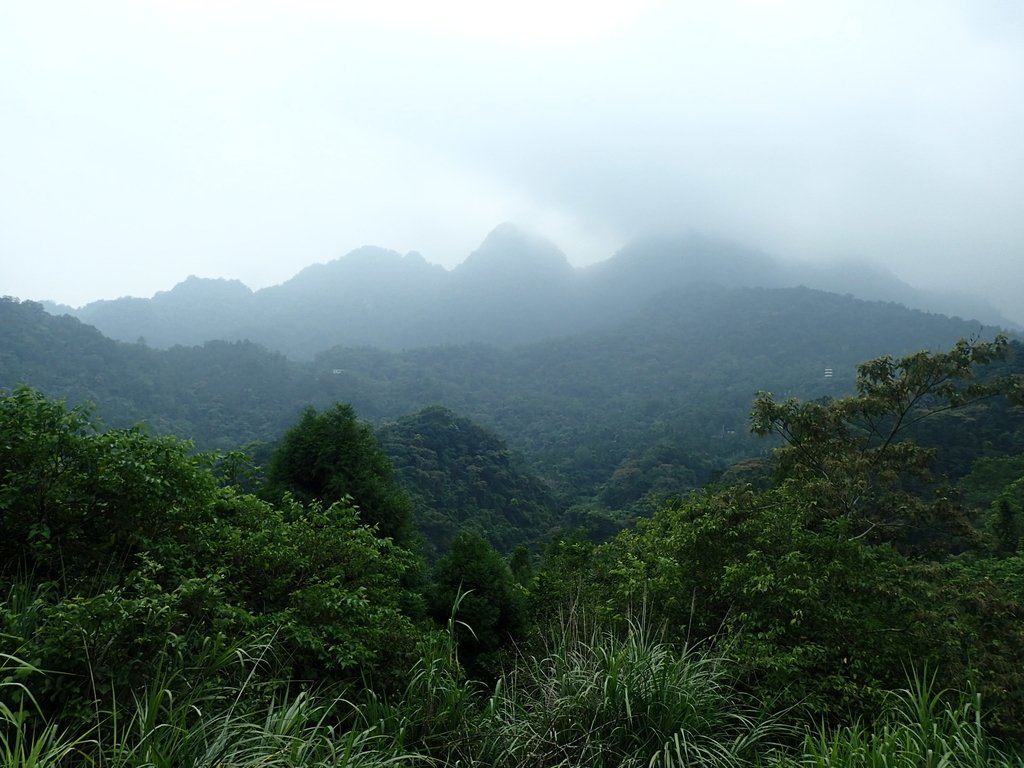 P9108367.JPG - 竹東  五指山登山步道