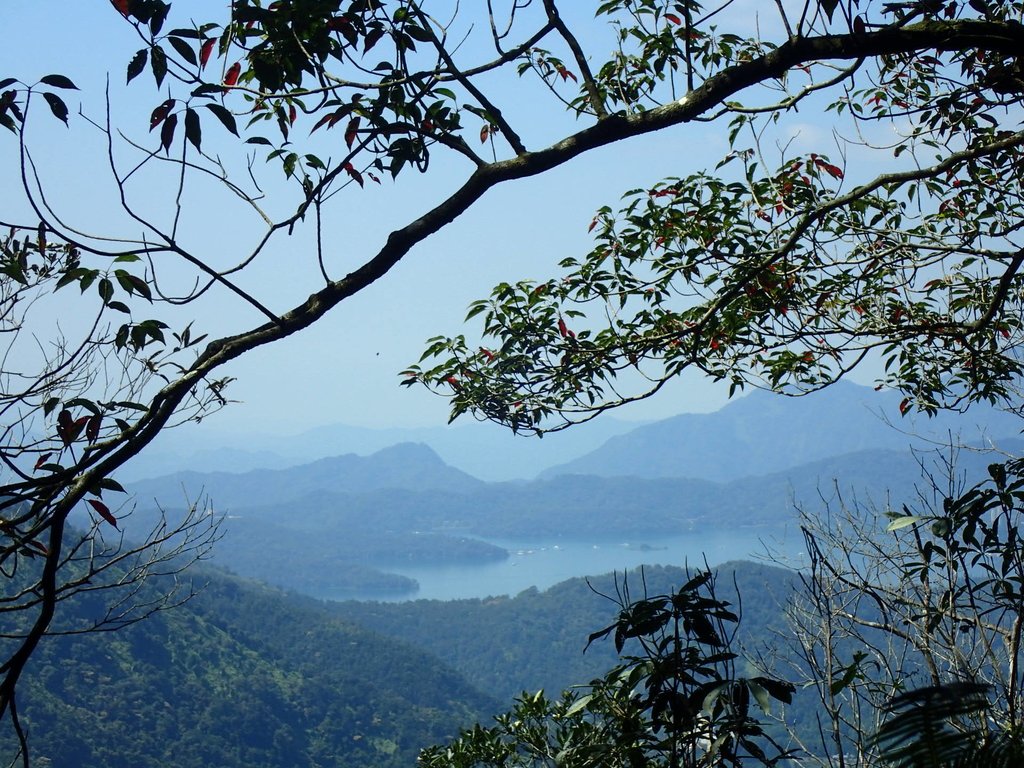 PA040408.JPG - 魚池  過坑山登山步道