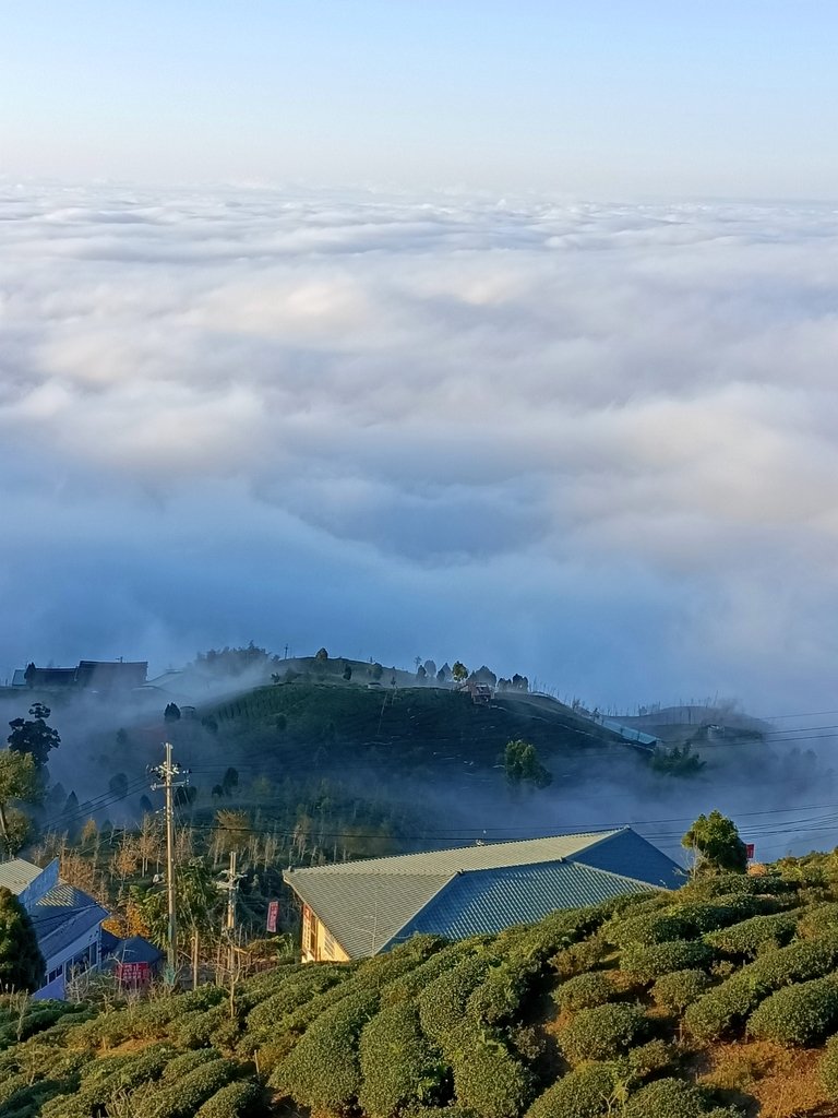 IMG20210107164420.jpg - 鹿谷  大崙山  觀霧亭之  暮光