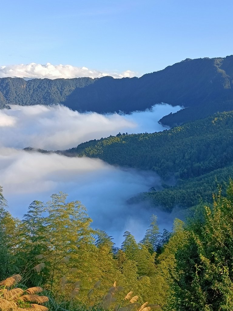 IMG20210107163421.jpg - 鹿谷  大崙山  觀霧亭之  暮光