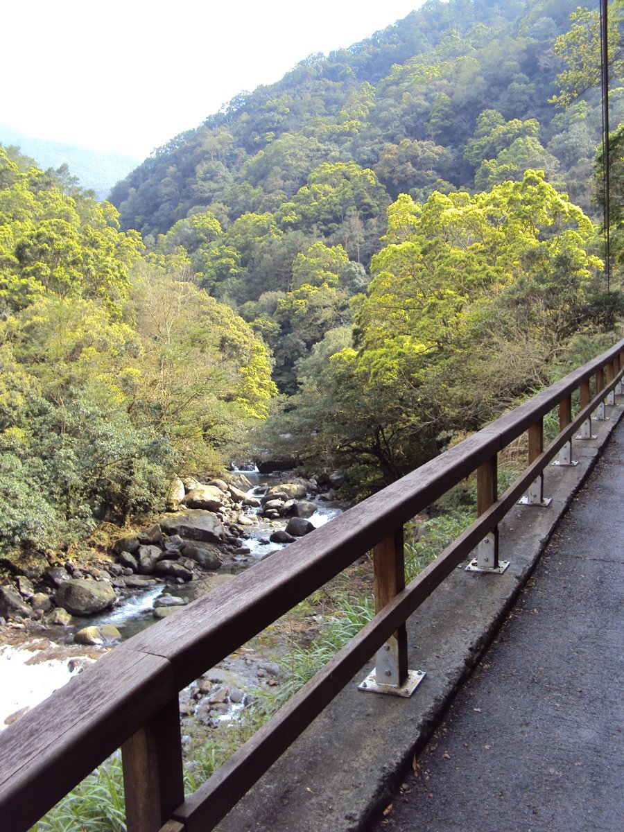 DSC04433.JPG - 三峽  滿月圓遊樂區