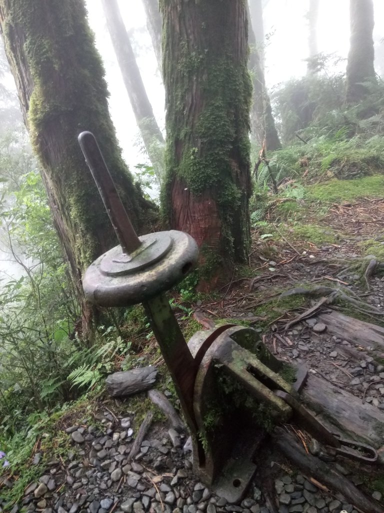 DSC_5616.JPG - 太平山 見晴懷古步道