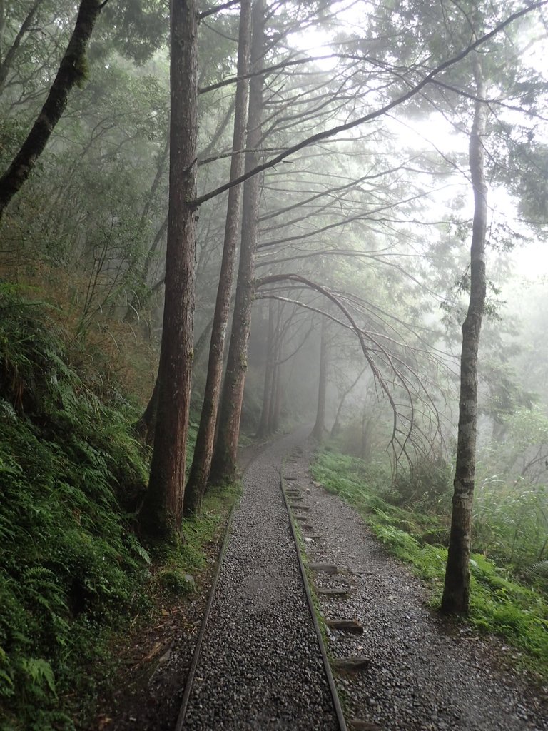 P8226784.JPG - 太平山 見晴懷古步道