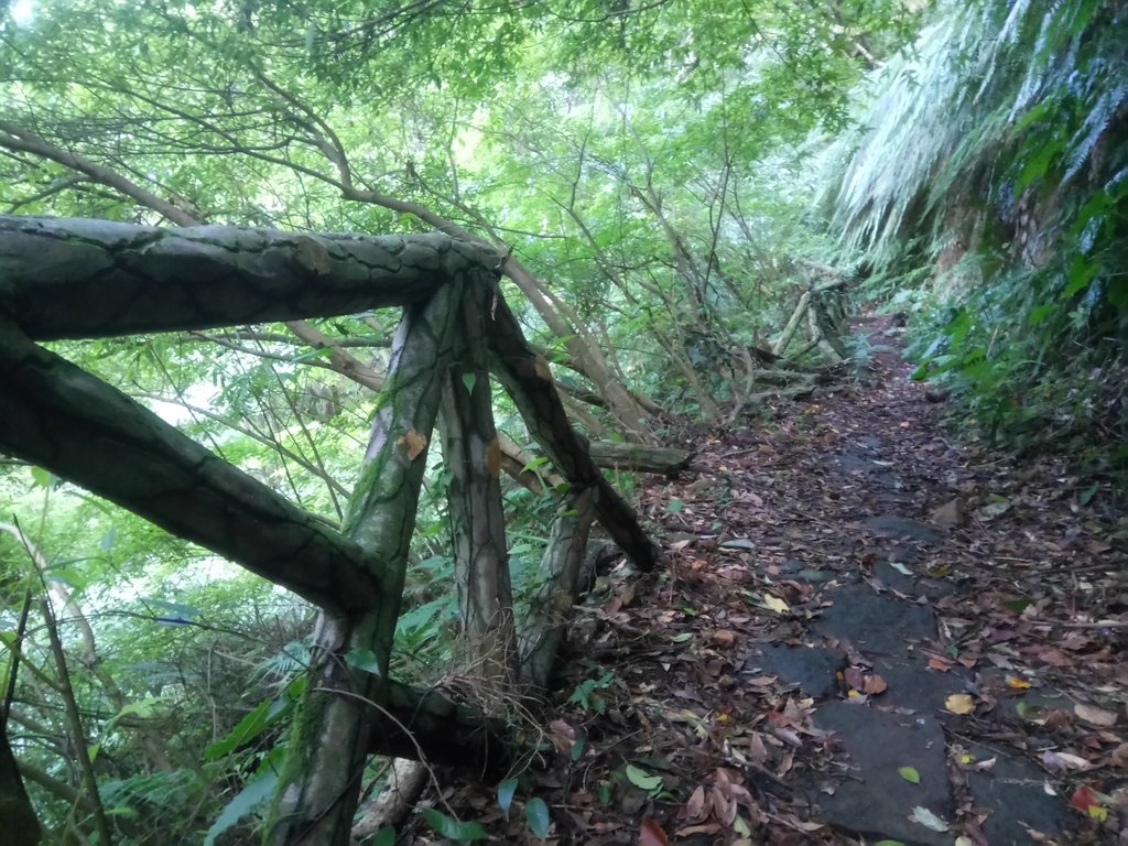 DSC_8798.JPG - 北投  中正山登山步道 03