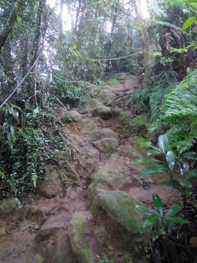 DSC_4877.JPG - 大溪  溪洲山登山步道