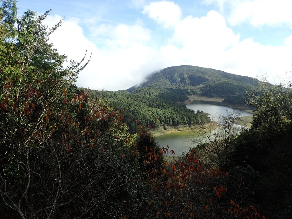 PB265465.JPG - 太平山  翠峰湖環山步道  02