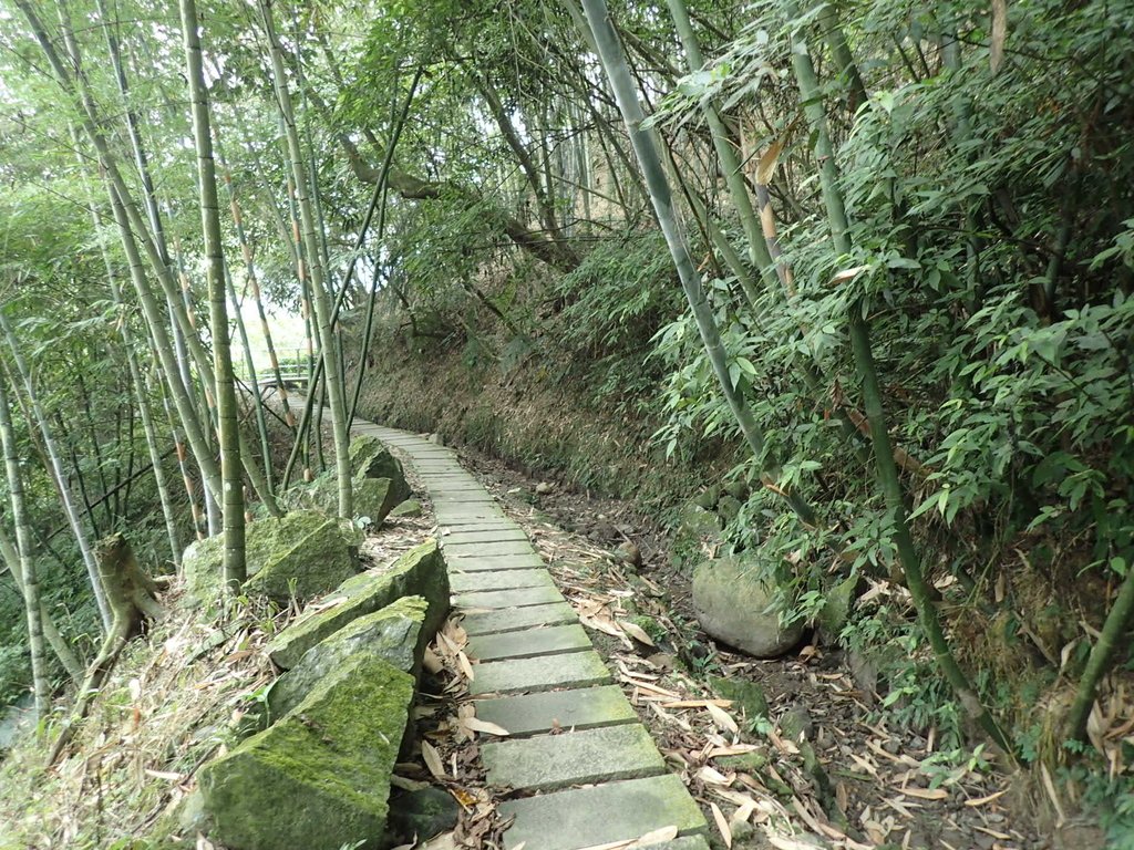 PA171274.JPG - 鹿谷  長源圳古道