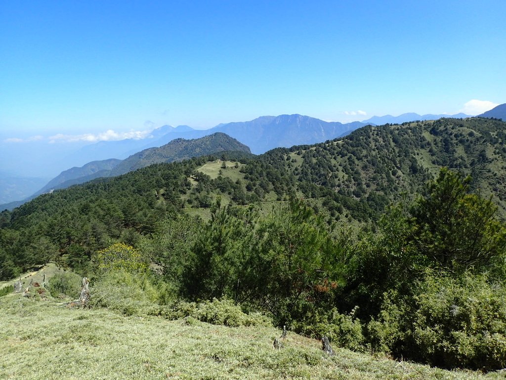 P3268121.JPG - 鹿林山  麟趾山步道  (02)