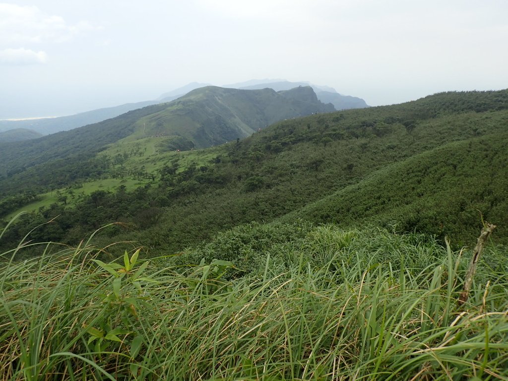 P5258765.JPG - 貢寮  桃源谷  灣坑頭山