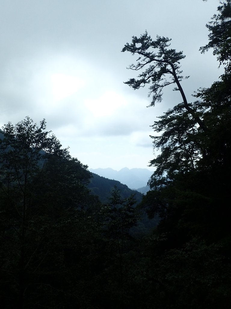 PA185710.JPG - 台中  和平  稍來山南峰