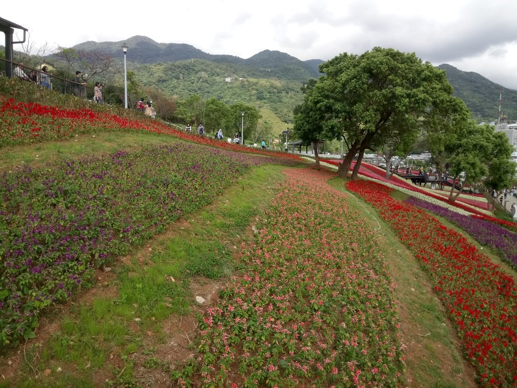 DSC_5451.JPG - 北投社  三層崎公園