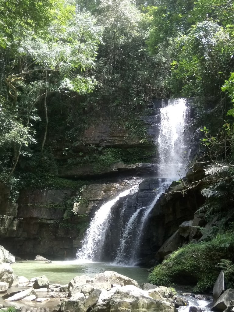 DSC_2665.JPG - 魚池  澀水森林步道  水上瀑布