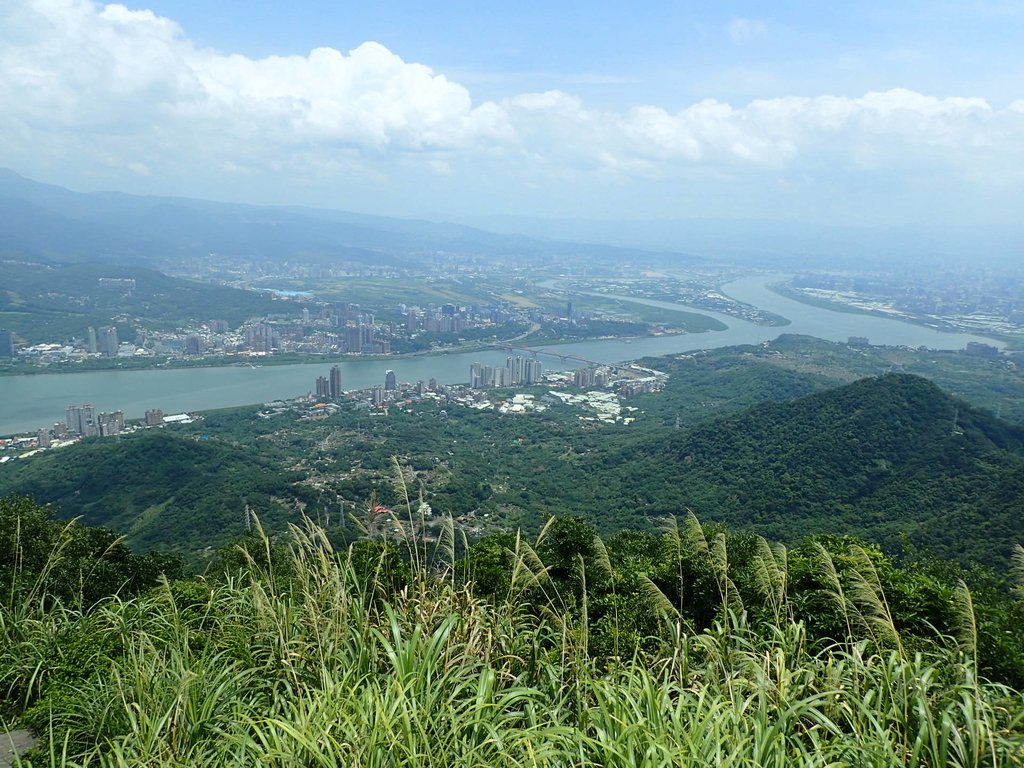 P8076244.JPG - 觀音山之  北橫古道