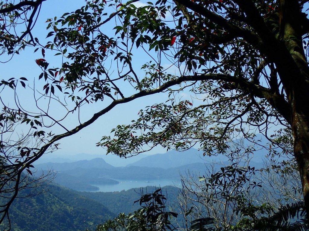 PA040410.JPG - 魚池  過坑山登山步道