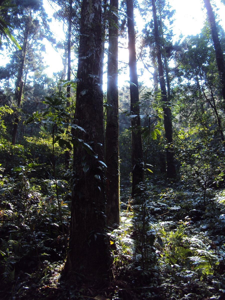 DSC04442.JPG - 三峽  滿月圓遊樂區