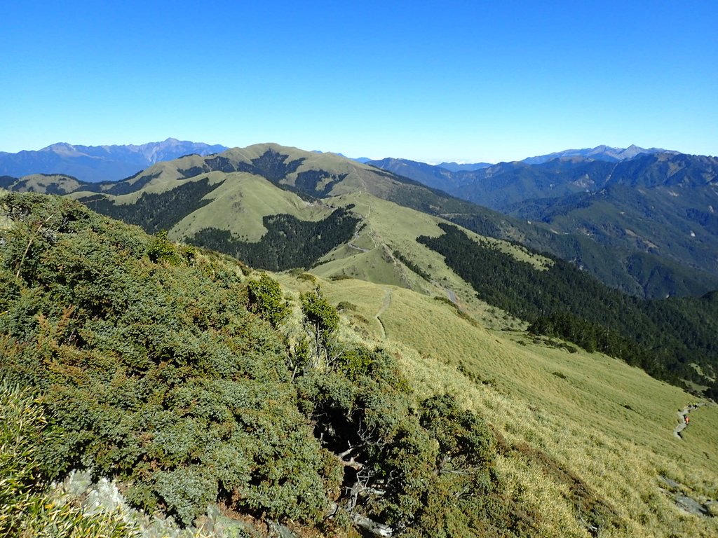 PC132116.JPG - 合歡山  東峰