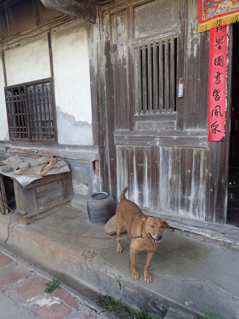 P7133600.JPG - 再訪  褒忠  柯家古厝