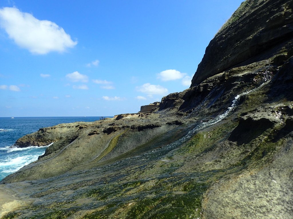 PA115132.JPG - 東北角海岸岩石之美  (05)