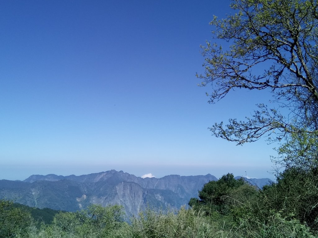 DSC_1675.JPG - 鹿林山  麟趾山步道  (01)