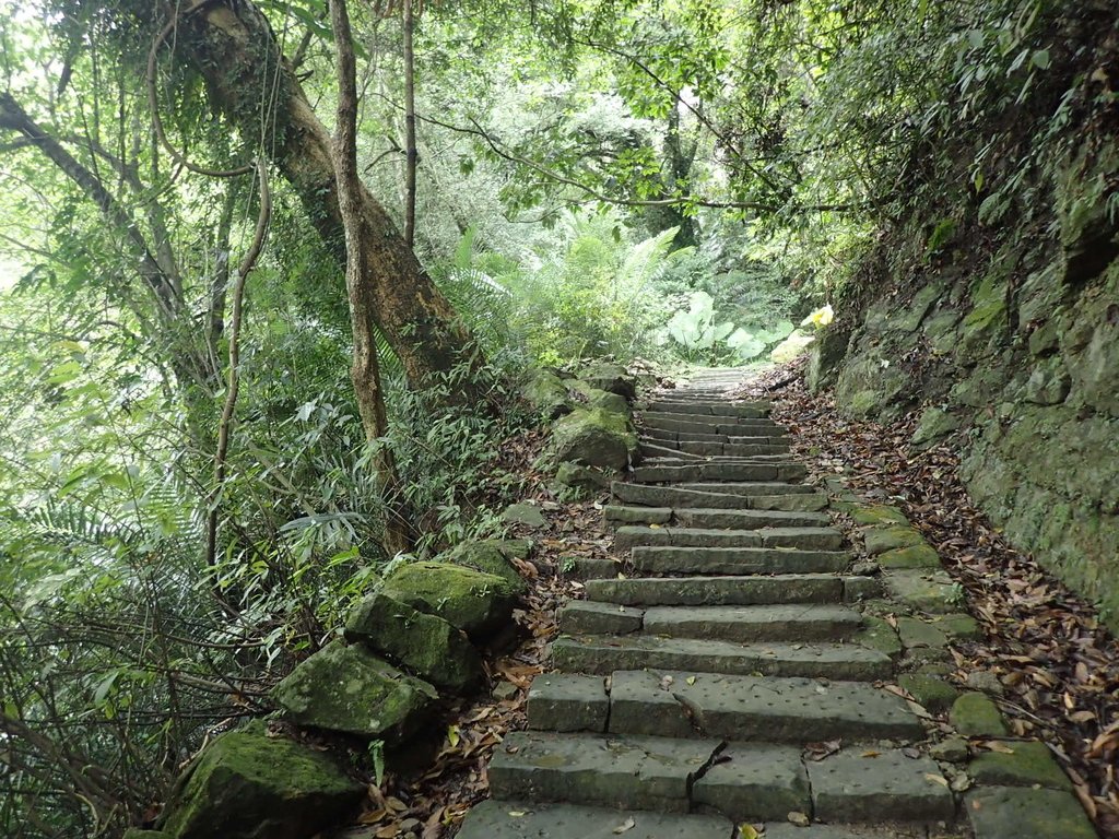 P1294517.JPG - 獅頭山  獅山古道  (01)