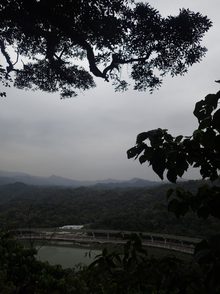 P3116934.JPG - 內湖  白鷺鷥山親山步道