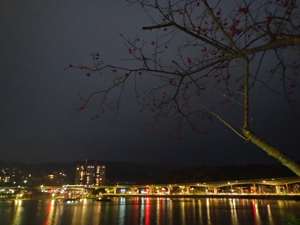 P3116964.JPG - 內湖  大湖公園之夜色