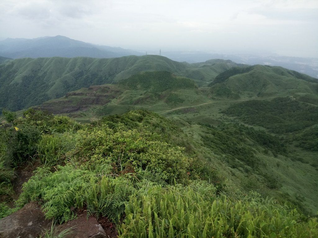 DSC_1486.JPG - 再登---  瑞芳  燦光寮山