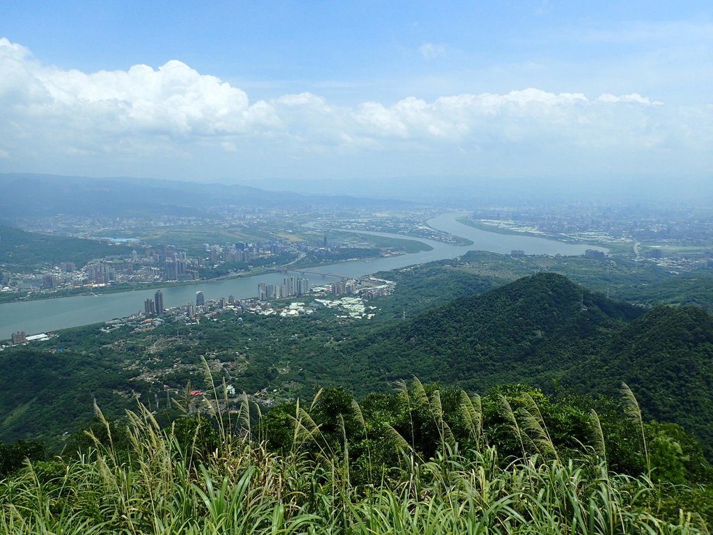 P8076246.JPG - 觀音山之  北橫古道