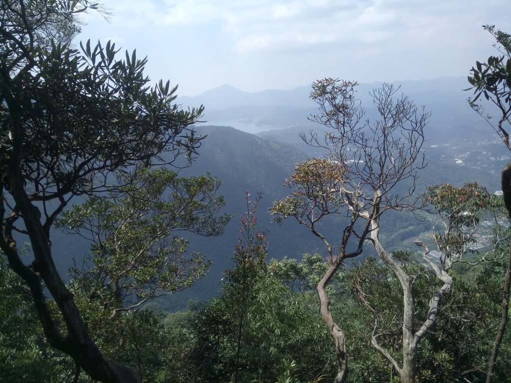 DSC_4079.JPG - 魚池  大尖山登山步道