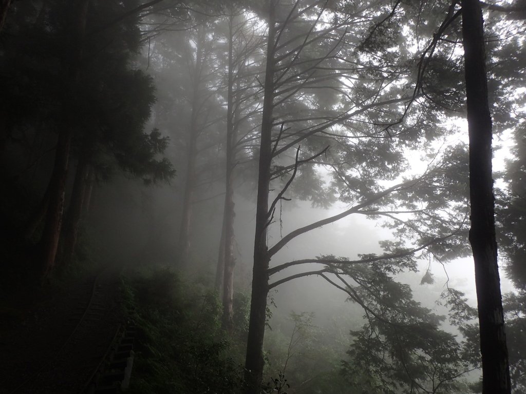 P8226789.JPG - 太平山 見晴懷古步道