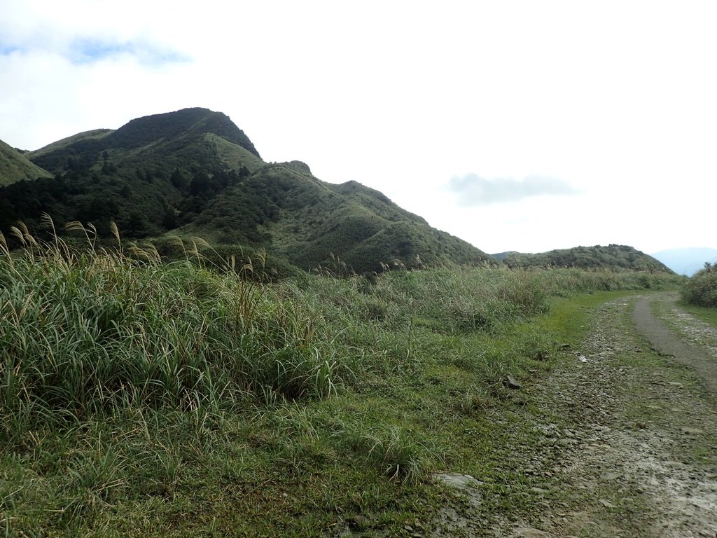 P1102289.JPG - 樹梅礦場  燦光寮山