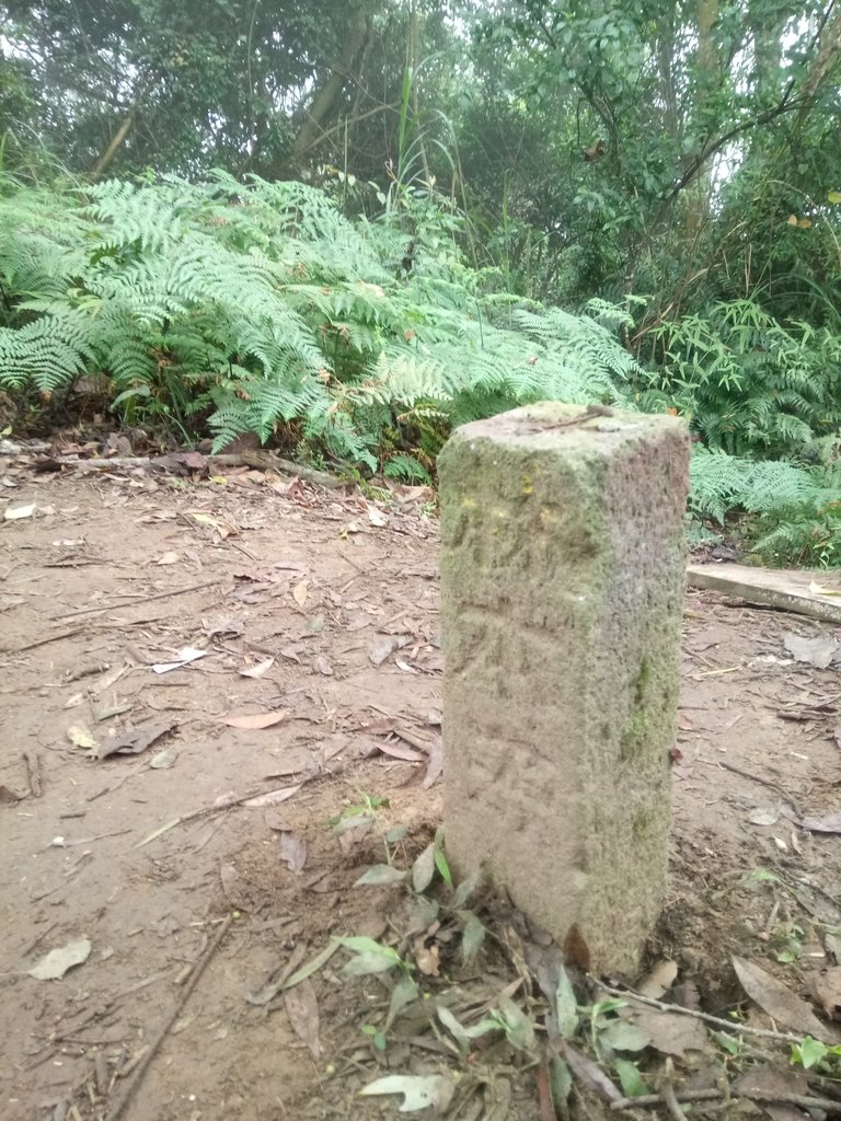 DSC_4882.JPG - 大溪  溪洲山登山步道