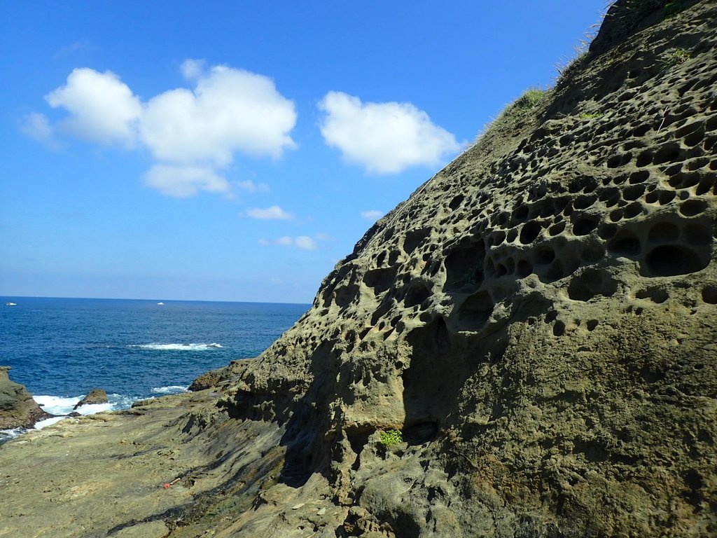 PA115135.JPG - 東北角海岸岩石之美  (05)