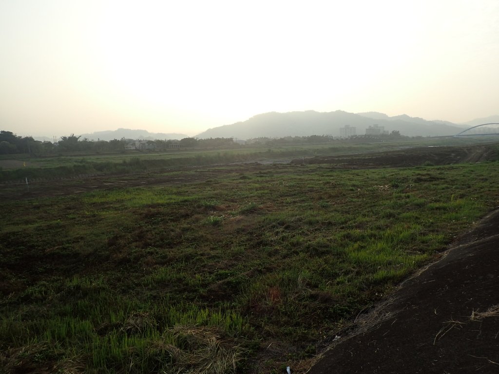 P3066293.JPG - 南投  貓羅溪畔晨曦