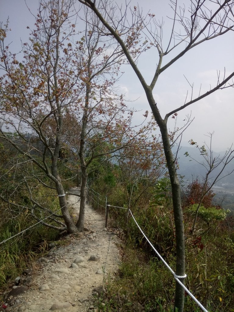 DSC_7326.JPG - 草屯平林  九九峰森林步道