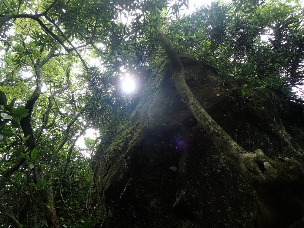 P6090353.JPG - 瑞芳  三貂嶺山  三貂大崙