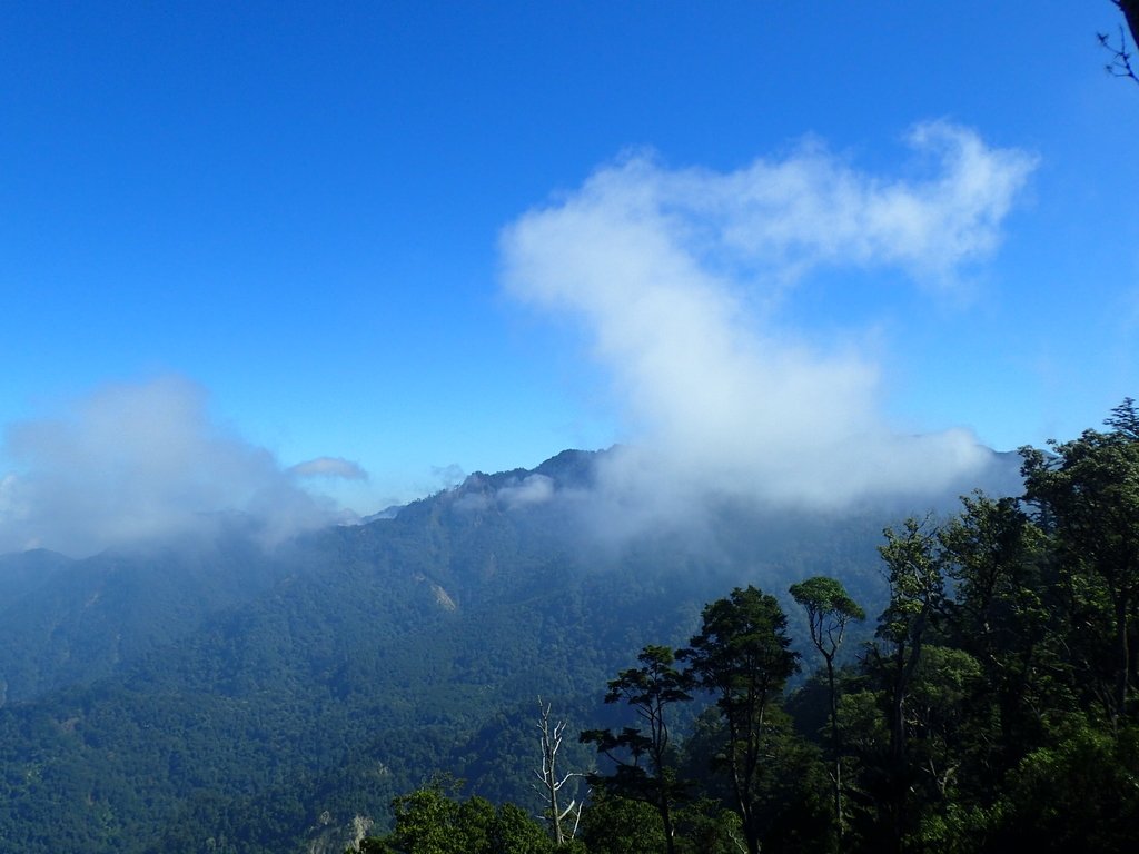 PA185577.JPG - 台中  和平  稍來山