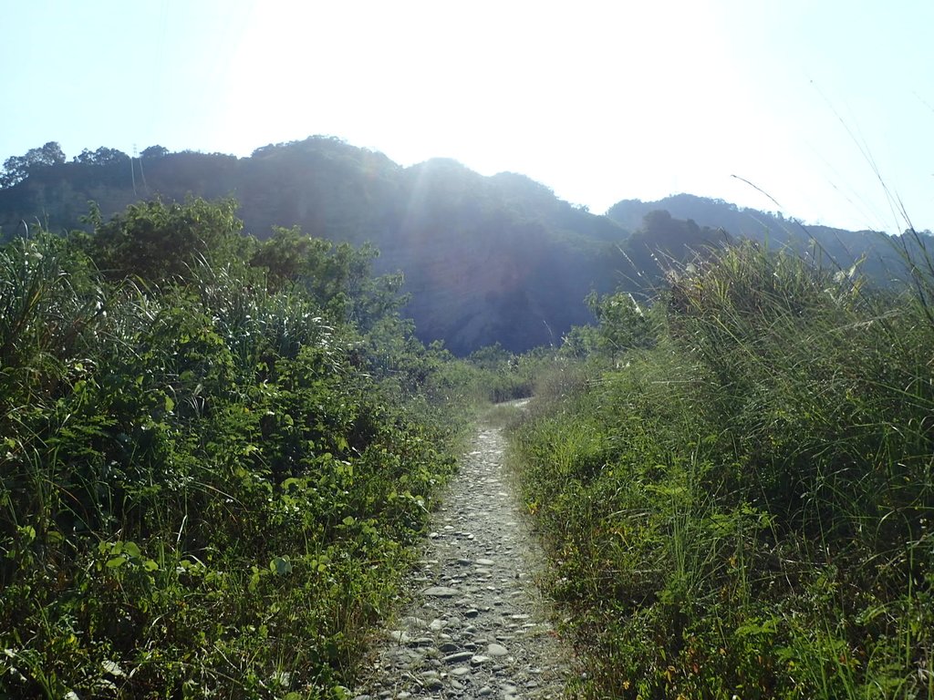 PA185714.JPG - 卓蘭  大安溪大峽谷